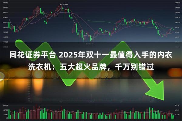 同花证券平台 2025年双十一最值得入手的内衣洗衣机：五大超火品牌，千万别错过