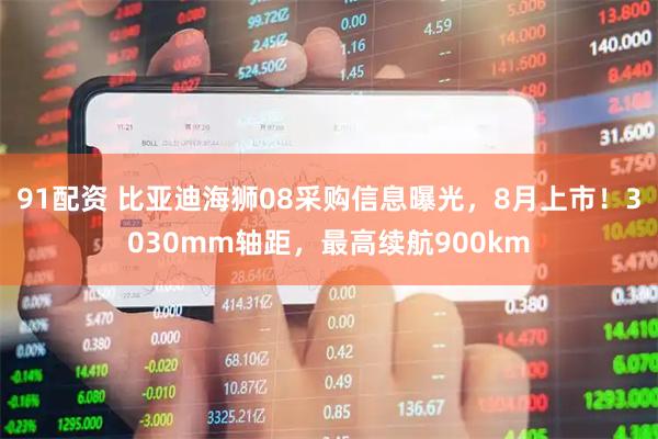 91配资 比亚迪海狮08采购信息曝光，8月上市！3030mm轴距，最高续航900km